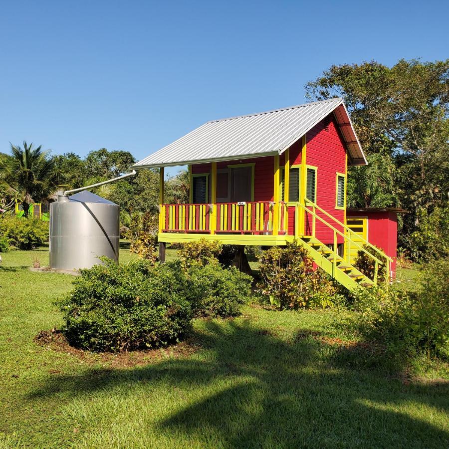 Lower Dover Jungle Lodge & Maya Ruins Unitedville 외부 사진