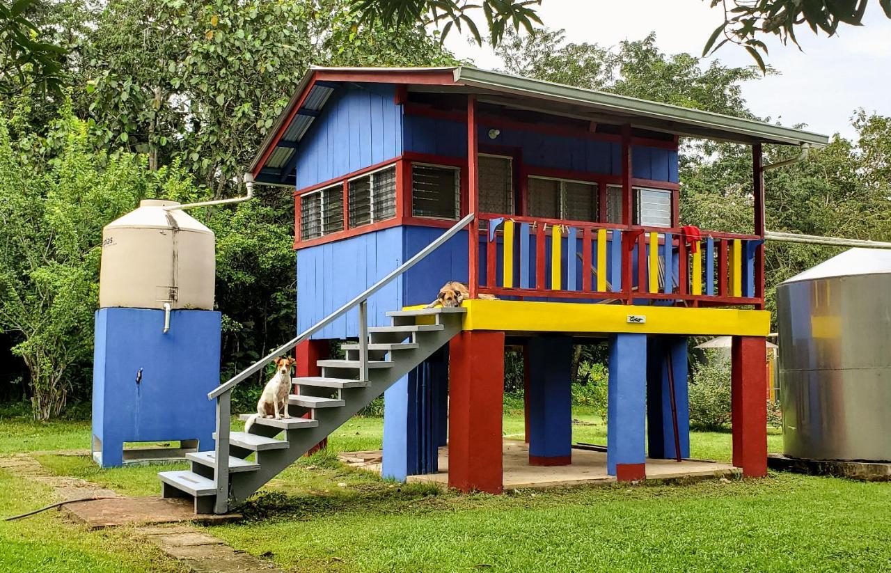 Lower Dover Jungle Lodge & Maya Ruins Unitedville 외부 사진