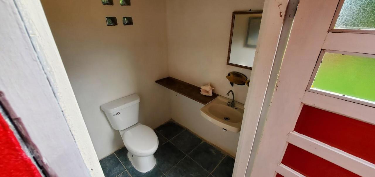 Lower Dover Jungle Lodge & Maya Ruins Unitedville 외부 사진