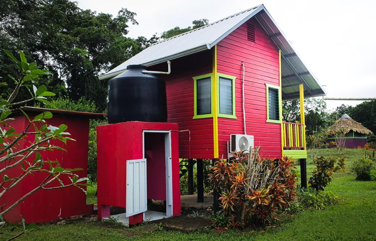 Lower Dover Jungle Lodge & Maya Ruins Unitedville 외부 사진