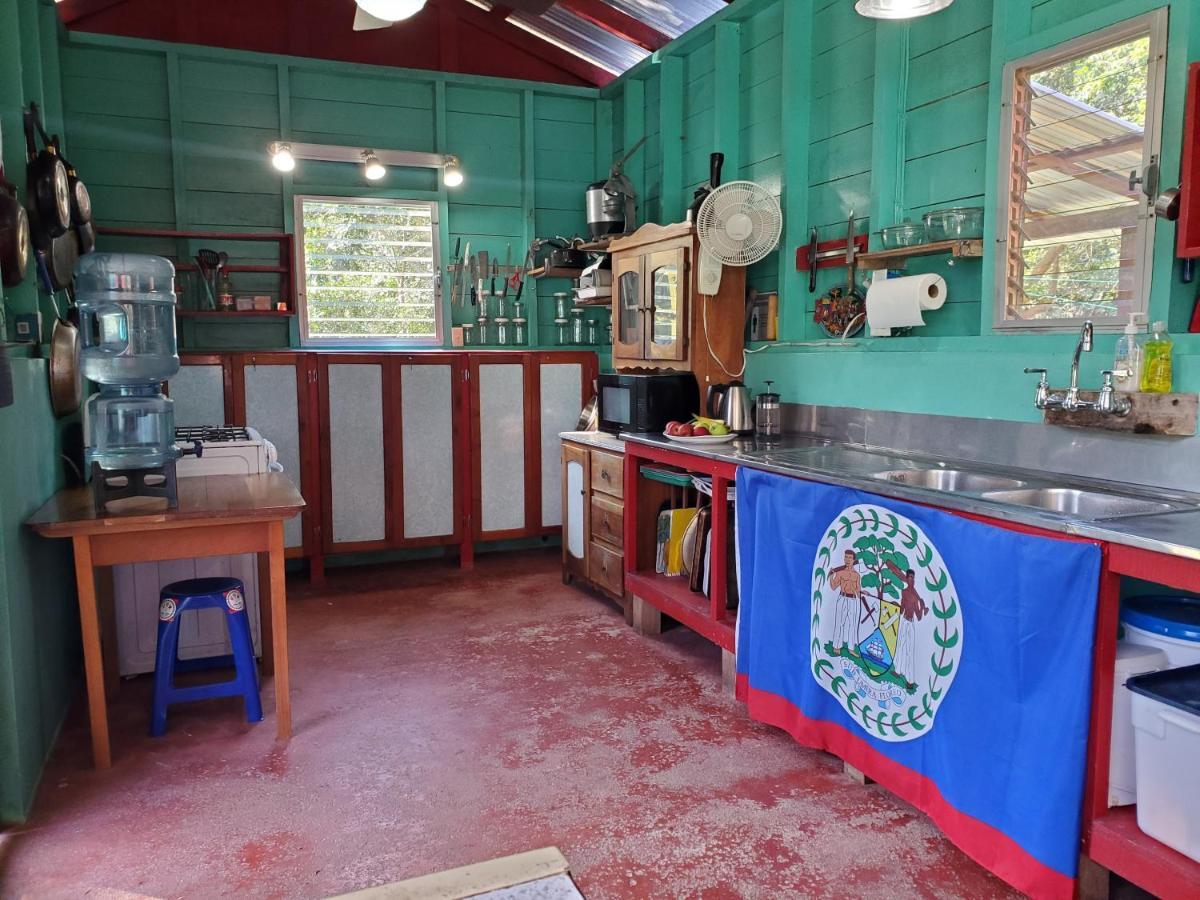 Lower Dover Jungle Lodge & Maya Ruins Unitedville 외부 사진