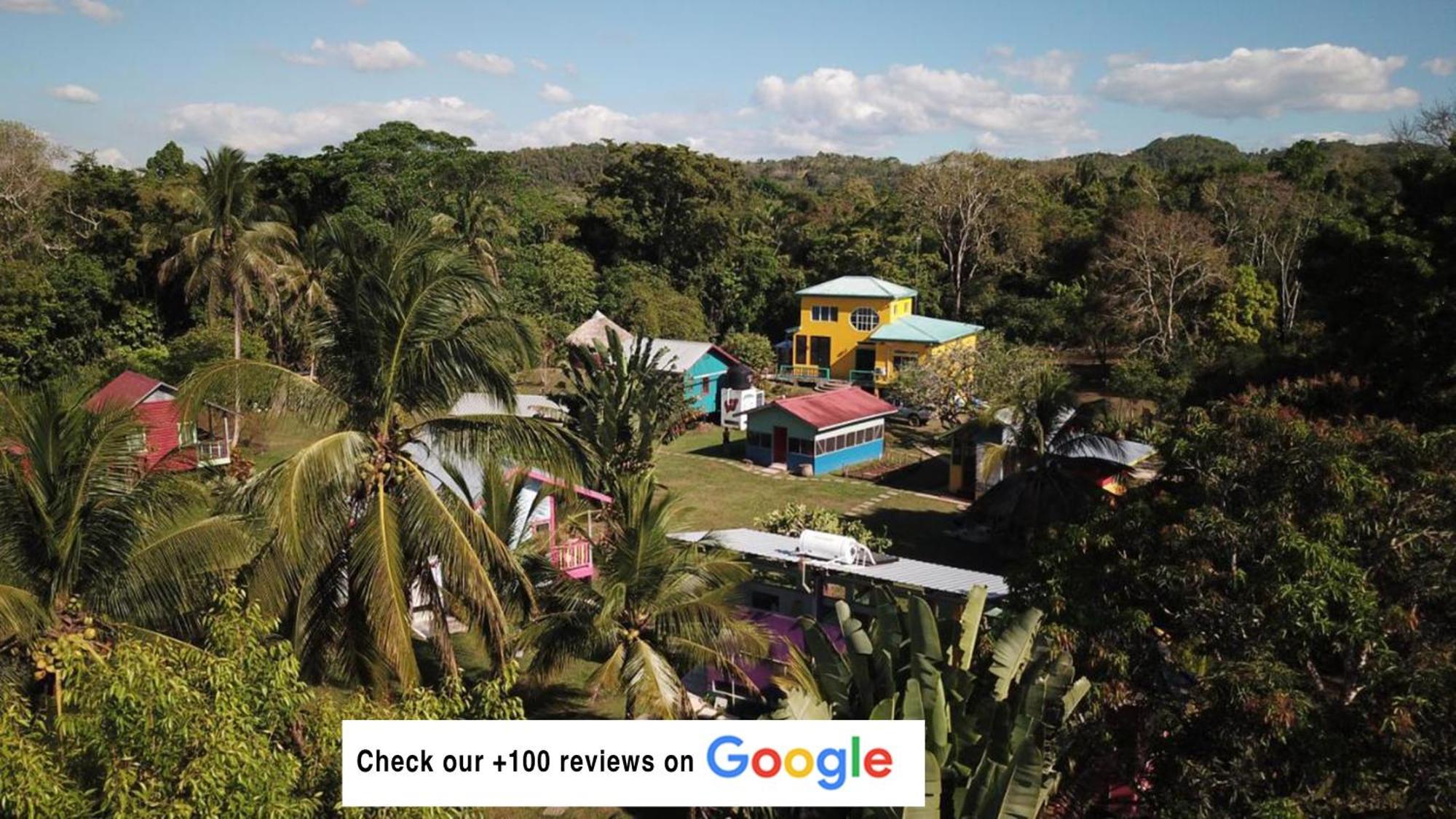 Lower Dover Jungle Lodge & Maya Ruins Unitedville 외부 사진