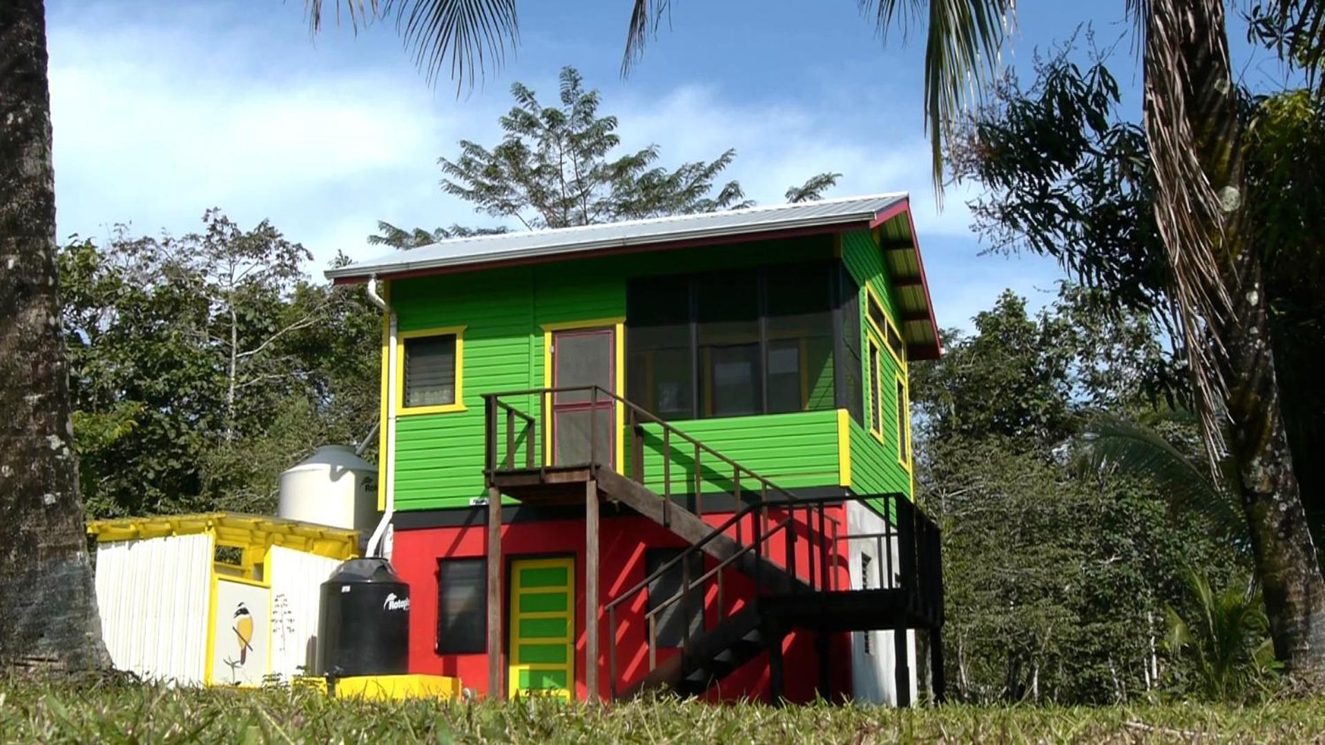 Lower Dover Jungle Lodge & Maya Ruins Unitedville 객실 사진