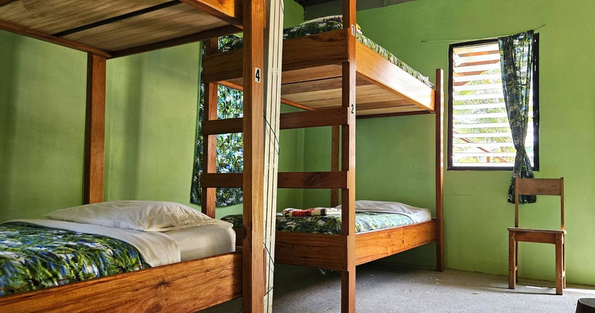Lower Dover Jungle Lodge & Maya Ruins Unitedville 객실 사진