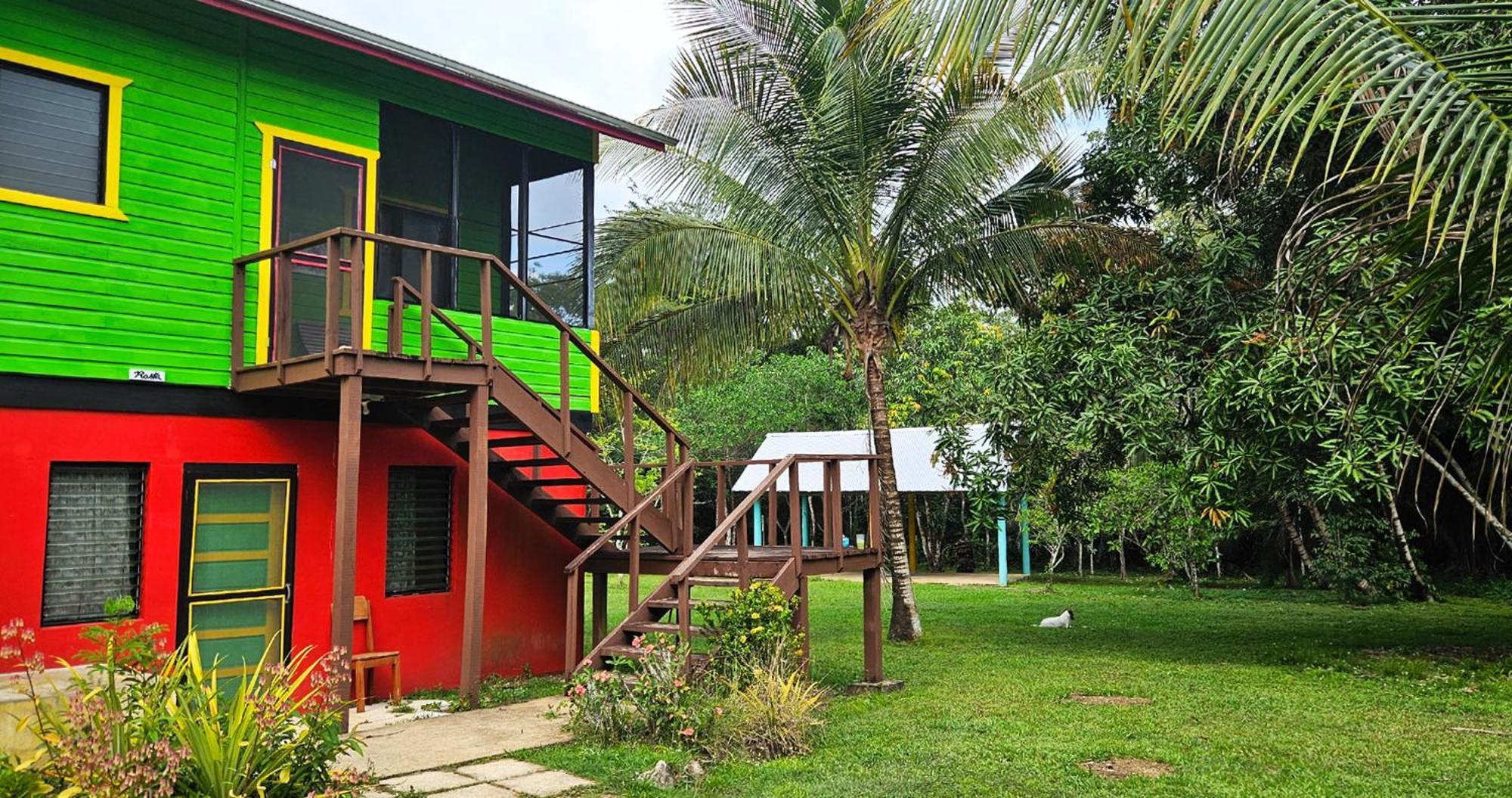 Lower Dover Jungle Lodge & Maya Ruins Unitedville 객실 사진
