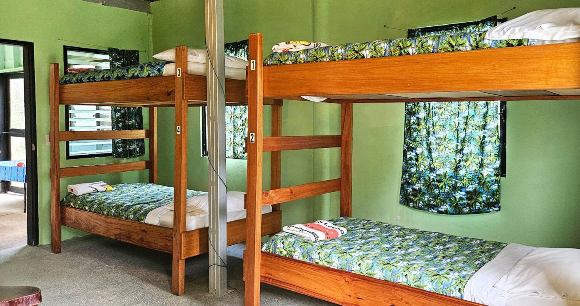Lower Dover Jungle Lodge & Maya Ruins Unitedville 객실 사진