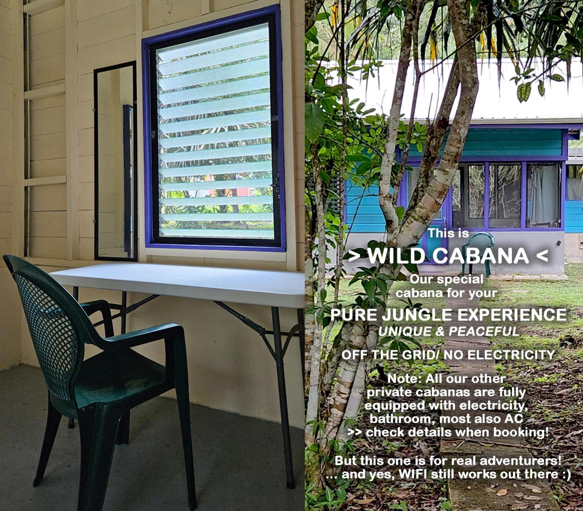 Lower Dover Jungle Lodge & Maya Ruins Unitedville 객실 사진