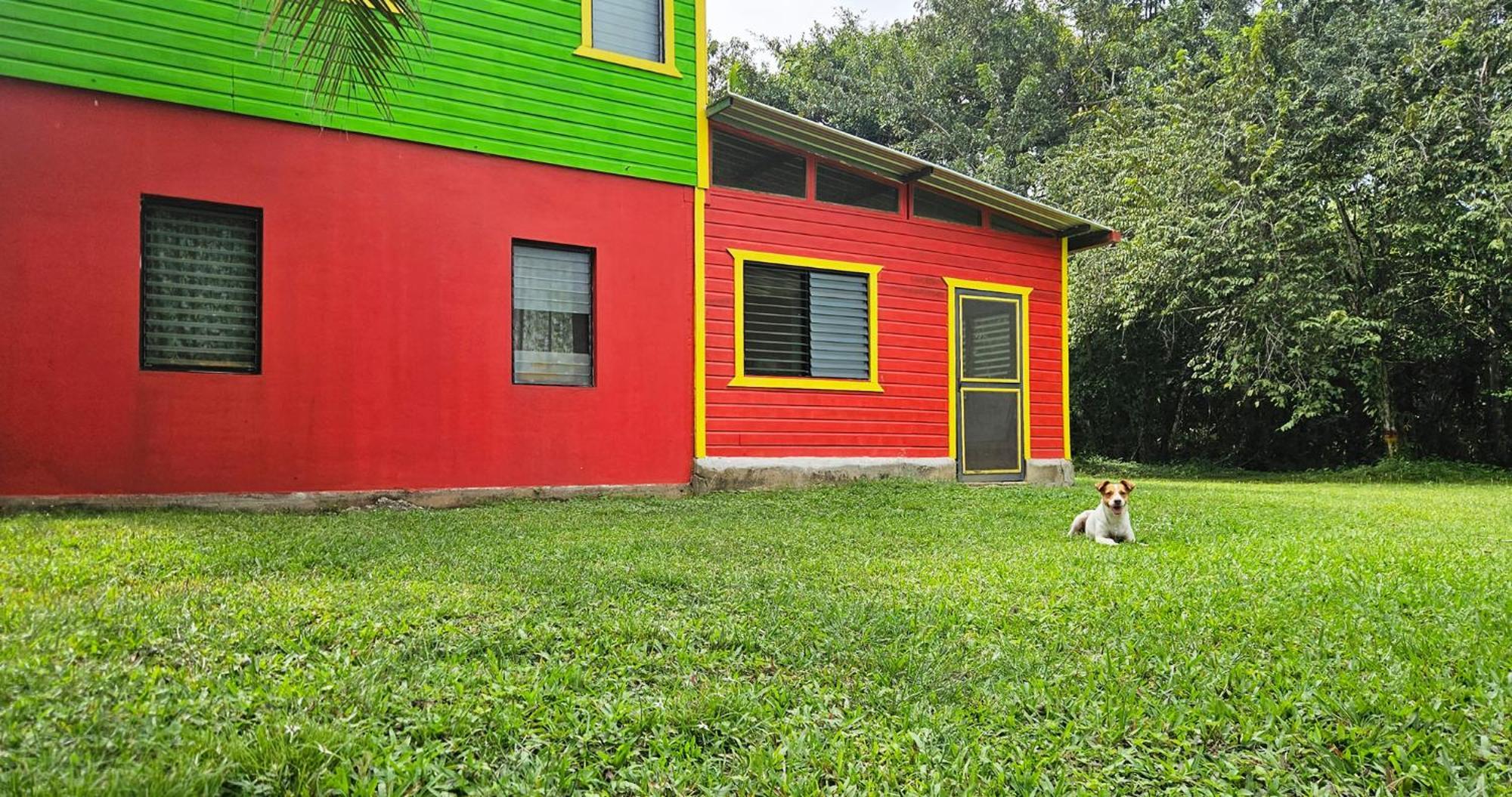 Lower Dover Jungle Lodge & Maya Ruins Unitedville 객실 사진