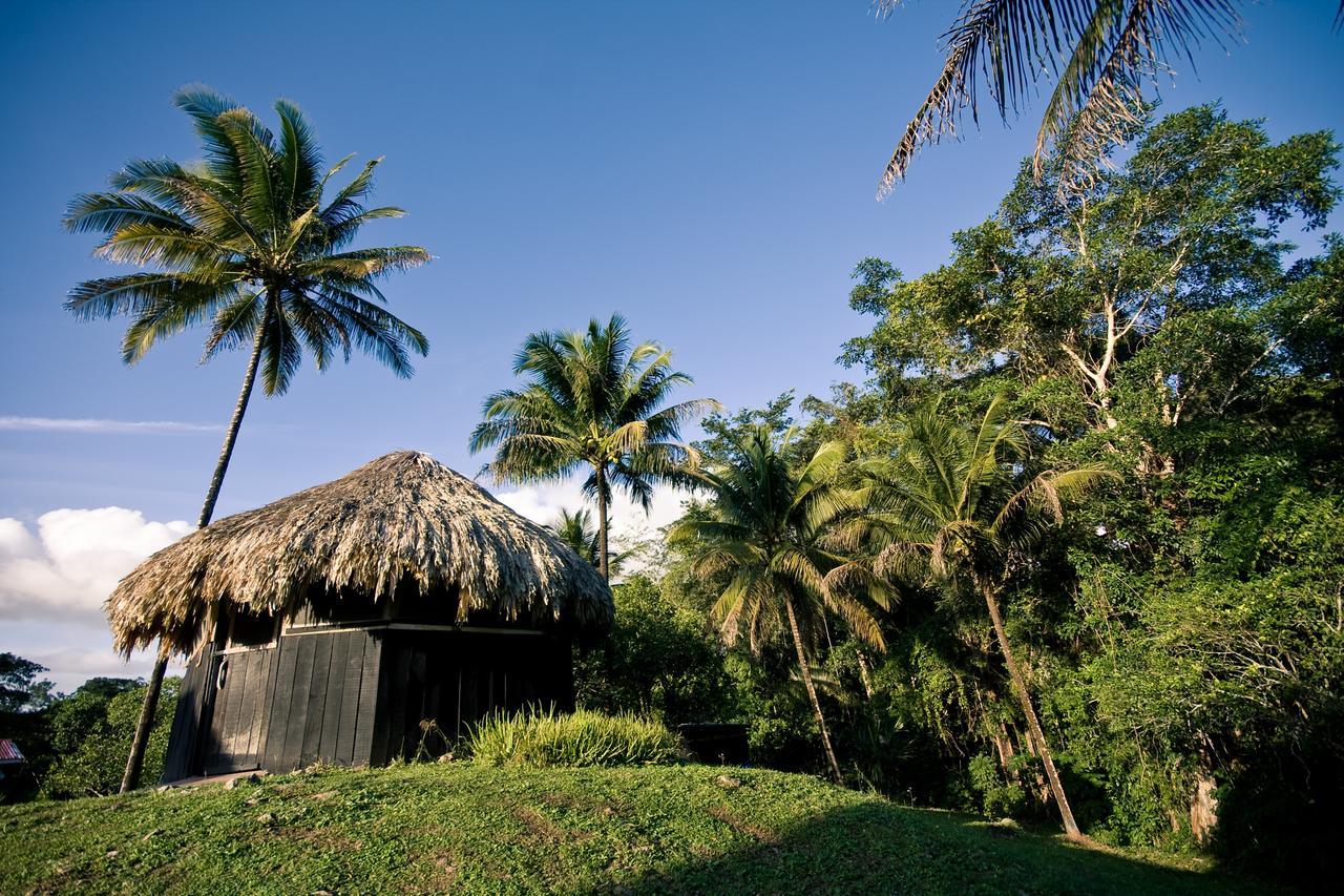 Lower Dover Jungle Lodge & Maya Ruins Unitedville 외부 사진