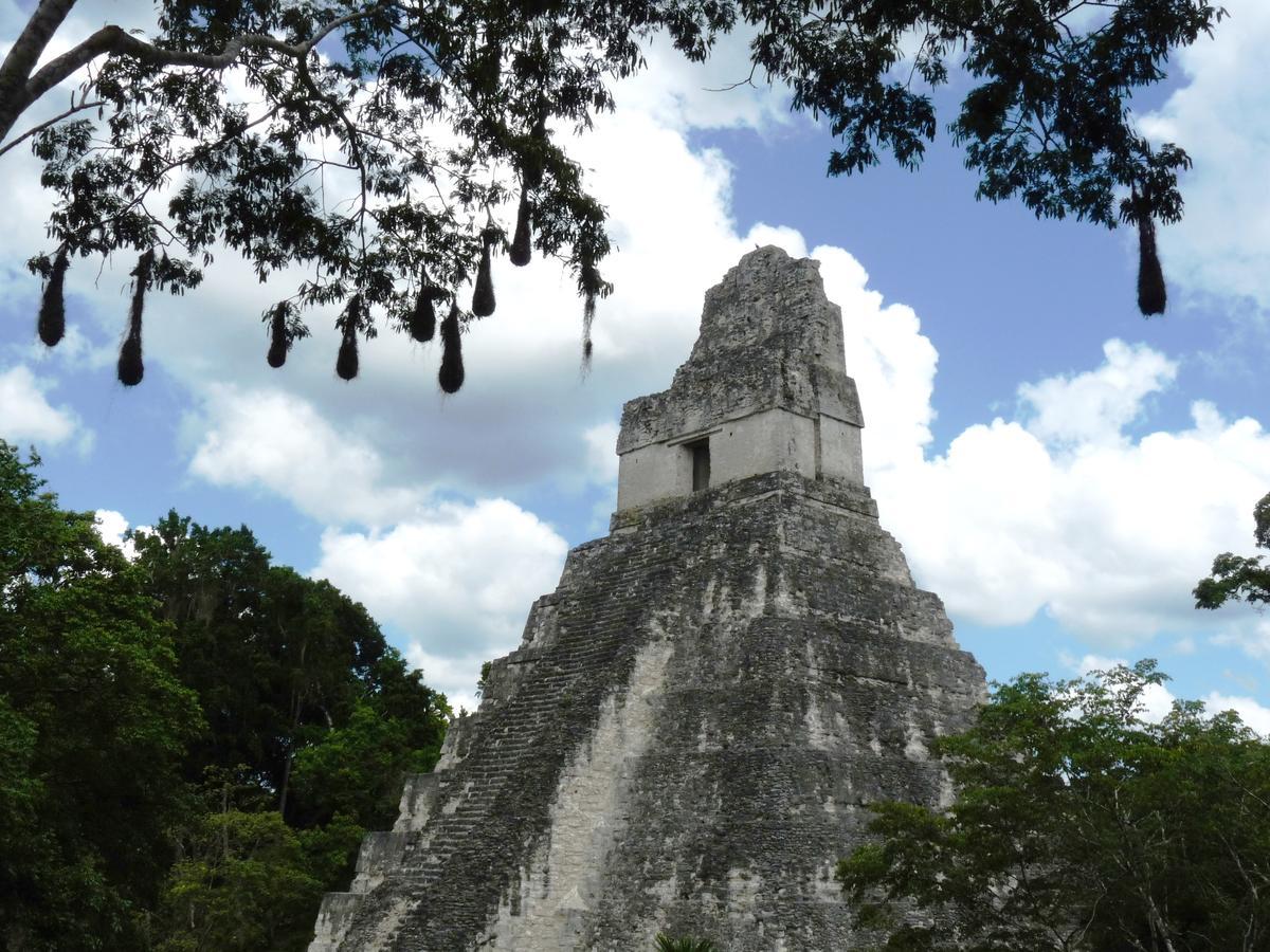 Lower Dover Jungle Lodge & Maya Ruins Unitedville 외부 사진