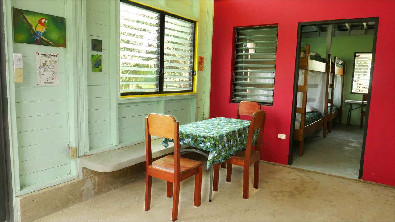 Lower Dover Jungle Lodge & Maya Ruins Unitedville 외부 사진